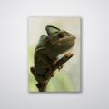 Loon Peak® Climbing Chameleon - Photograph Canvas/Metal in Green | 32 H x 24 W x 0.12 D in | Wayfair 9A2BF1E6A60F4F60BCE1E8ED93841248