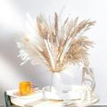 92Pcs/set Wild Autumn Beautiful Natural Pampas Grass Bouquet Decoration| Long Lasting Dried Flower Bouquet for Bohemian Home Decoration and Bohemian Wedding Decoration (wild Bouquet)