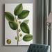 August Grove® Cherry Fig Tree - Wrapped Canvas Graphic Art Metal in Brown/Green | 48 H x 32 W x 1.5 D in | Wayfair 228D0A51014742D98658D58AF920DF71