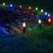 Wintergreen Lighting OptiCore LED Shatterproof C7 Smooth Christmas Light Replacement Bulbs | Wayfair 74041