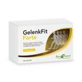 Gelenkfit Forte Tabletten 90 St