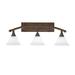 Longshore Tides Arayla 3 - Light Dimmable Vanity Light, Glass in Brown | 10.5 H x 28.5 W x 9.5 D in | Wayfair 8C99F76ABCC74BBE8675582EAE70B57B