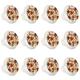 12 Pcs Retro Devices CD Phone Knobs for Kitchen Cabinet Cupboard Dresser Bookcase Drawer Pulls Handles Round Home Decor