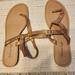 American Eagle Outfitters Shoes | American Eagle Flat Sandals | Color: Tan | Size: 10