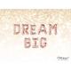 Dream Big Rose Gold Balloons Party Balloon Mylar Balloons, Baby Shower Balloon, Silver Letters, Positive Quotes