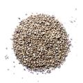 Organic White Peppercorn /Available From 1Oz-32Oz/Cooking Dishes Spices