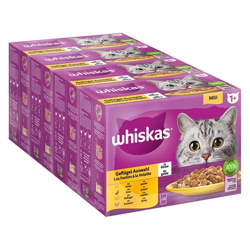 144x 85g Megapack Whiskas 1+ Adult Frischebeutel Geflügel Auswahl in Gelee Katzenfutter nass