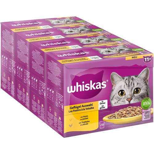 144x85g 11+ Geflügelauswahl in Gelee Jumbopack Whiskas Senior Frischebeutel 144 x 85 g...