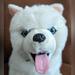 Disney Toys | Disney Iron Will Plush Dog | Color: White | Size: Osbb