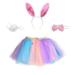 Girls Size 4 Clothes Fit And Flare Girls Dress Kids Toddler Baby Girls Spring Summer Floral Fancy Skirts Easter Bunny Carnival Accessory Set Girls Toddler Dresses 2t Toddler Girl Rose Dress