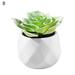 Grofry Easy to Maintain Artificial Potted White Ceramic Potted Mini Modern Decoration Artificial Succulent Potted for Home 8