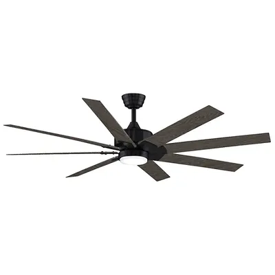 Fanimation Levon DC Ceiling Fan