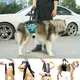Harnais de levage pour chien ceinture auxiliaire pour les pattes arrières accessoire de marche