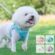 Ensemble harnais et laisse pour chien en peluche lapin chaud adapté aux petits chiots chats