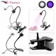 Lampe Uv Led pour séchage de Gel Lampe de bureau pour Nail Art pour bricolage pour argent liquide