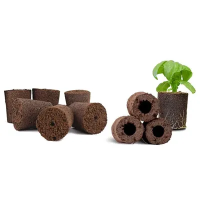 Éponges de culture hydroponiques pour plantes d'intérieur éponge intelligente avec nutriments