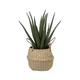 Atmosphera - Plante Artificielle & Pot Aloe Vera 37cm Vert