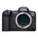 Canon EOS R5 - digital camera - body only