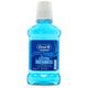 Oral-B Complete Mouthwash Arctic Mint 250ml