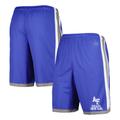 Men's Champion Royal Air Force Falcons Basketball Shorts