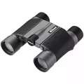 Nikon HG L DCF 10x25 Compact Binoculars