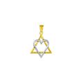 Large Star of David Heart Necklace in 9ct Two-Tone Gold