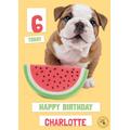 Studio Pets Birthday Card Bulldog Puppy Card, Large
