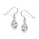 Silver Teardrop Cubic Zirconia Drop Hook Wire Earrings - F0746