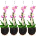 Orchid Hanging Planter 4 Inch 4 Pack with Bird Nest Style Plant Hangers Handmade Thai Bamboo Woven Hanging Orchid Basket for Trellis Gazebo Indoor Outdoor