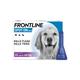 FRONTLINE Spot On Flea and Tick Treatment Dogs and Cats - Dog Large (20-40kg) - 6 Pack