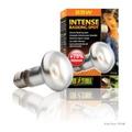 Hagen Exo Terra Intense Basking Spot Lamps - 25W