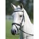 Shires Avignon Black Padded Raised Flash Bridle - Small Pony