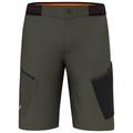 Salewa - Pedroc 3 DST Cargo Shorts - Shorts size 50, grey
