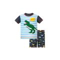 Dinosaur Stripes 2 Piece Swim Set