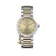 Vivienne Westwood Poplar Ladies Quartz Watch With Champagne Dial & Stainless Steel Two Tone Bracelet