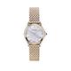 Emporio Armani Swiss Swiss Stainless Steel Ladies Watch, Gold, Women