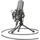 Trust 22614 Gxt 242 Lance Streaming Microphone