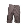 Regatta Mens Heroic Cargo Shorts - Grey - Size 30 (Waist)