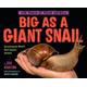 Big as a Giant Snail