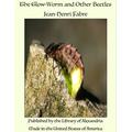 The Glow-Worm and Other Beetles