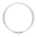 Philips Lighting 55 W TL5 Circular Fluorescent Tubes, 4200 lm, 2GX13