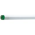 Philips Master 32W 4ft T8 Eco Halogen Tube Cool White - 26462640