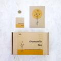Grow Your Own Chamomile Tea Seed Kit