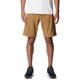 Columbia Mens Silver Ridge Utility Cargo Shorts (Delta)