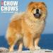 Just Chow Chows 2024 12 X 12 Wall Calendar (Other)