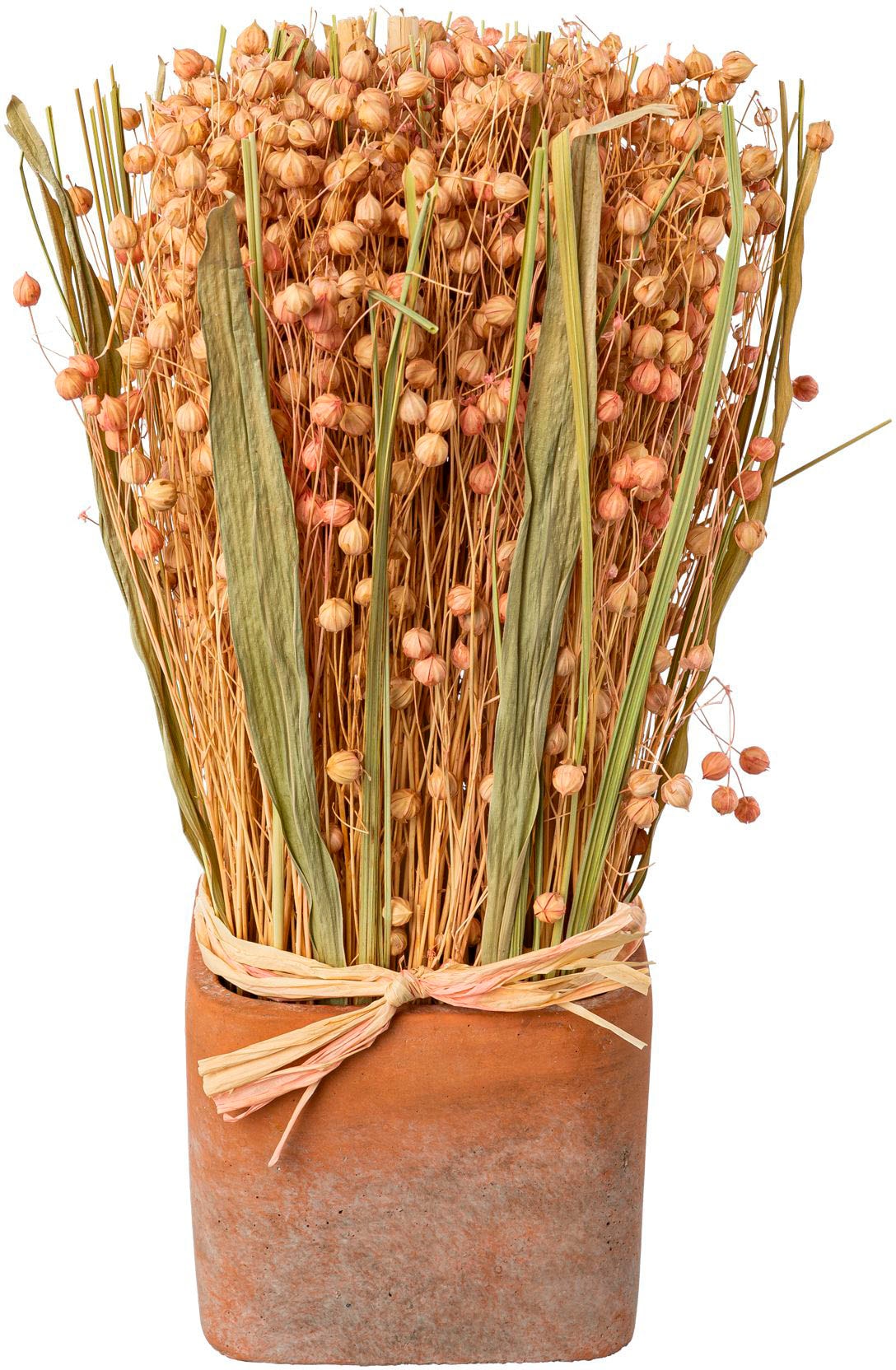 Trockenblume CREATIV HOME "Trockenblumen imTopf", rosa, B:10cm H:30cm, Kunstpflanzen