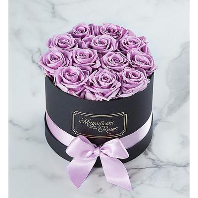 1-800-Flowers Flower Delivery Magnificent Roses Preserved Lavender Roses One Dozen