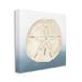 Stupell Industries Beige Sand Dollar Seashell Canvas Wall Art By Lucille Price Canvas in White | 36 H x 36 W x 1.5 D in | Wayfair as-753_cn_36x36