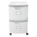Storex Industries 61310B01C 14.75 18.25 x 26 in. Two-drawer Mobile Filing Cabinet Gray