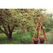 Winston Porter Harvest in Apple Garden - Wrapped Canvas Photograph Canvas | 12 H x 18 W x 1.25 D in | Wayfair F33F1C6792304CFDA4BFDBA61EF3B5C2